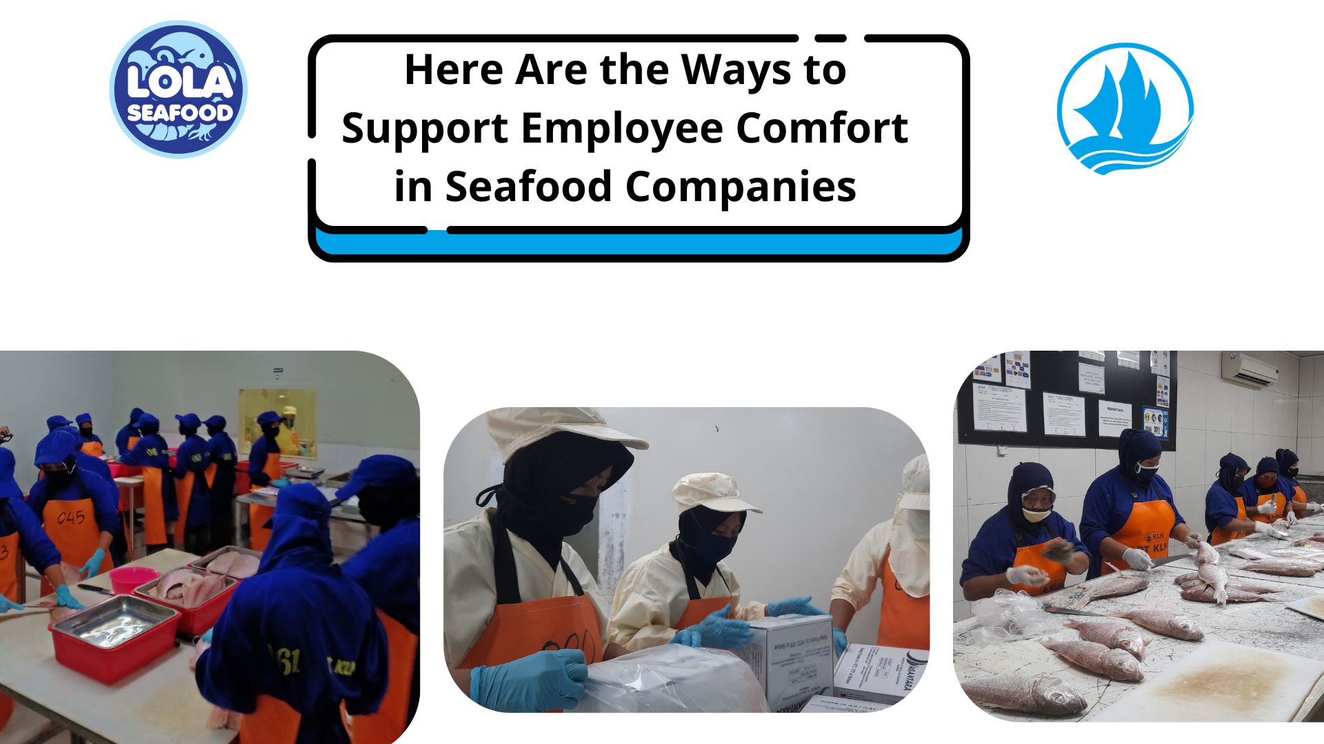  Here Are the Ways to Support Employee Comfort in Seafood Companies